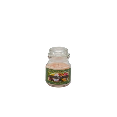 Candela Nature Candle 90g Tropical