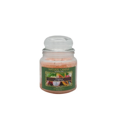 Candela Nature Candle 380g Tropical