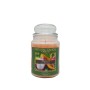 Candela Nature Candle 580g Tropical