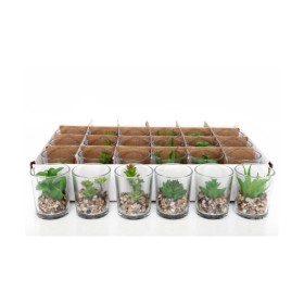 Vasetto con Candela Pianta Grassa