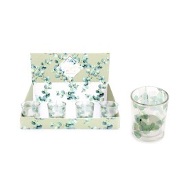 Candela con Bicchiere Linea Eucalipto