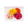Coroncina Rose Colori Assortiti
