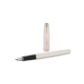 Penna Stilografica Parker Silver PGT F