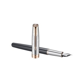Penna Stilografica Parker Sonnet Grey PGT 18K F