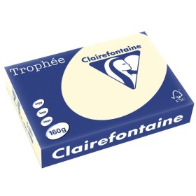 Carta Fotocopie Colorata Clairefontaine A4 160g 250 Fogli Colore Tenue Avorio