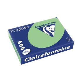 Carta Fotocopie Colorata Clairefontaine A4 160g 250 Fogli Colore Tenue Verde Natura