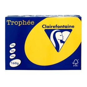 Carta Fotocopie Colorata Clairefontaine A4 160g 250 Fogli Colore Forte Girasole