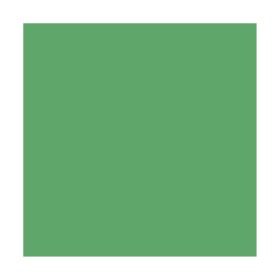 Fogli Cartoncino Monoruvido A4 Verde Brillante 185g