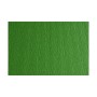 Fogli Cartoncino Monoruvido 35x50 Verde 220g