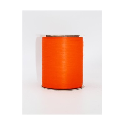 Rotolo Nastro Paper 10mmx250m Colore Arancione