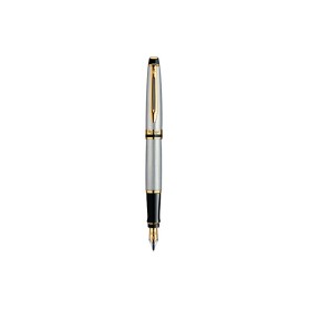 Penna Stilografica Waterman Expert Stainless Steel GT