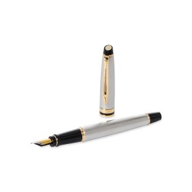 Penna Stilografica Waterman Expert Stainless Steel GT M