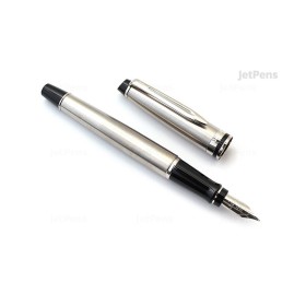 Penna Stilografica Waterman Expert Stainless Steel CT M
